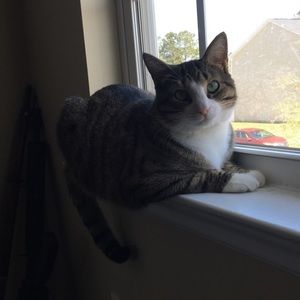 Meet your Posher, Chloe